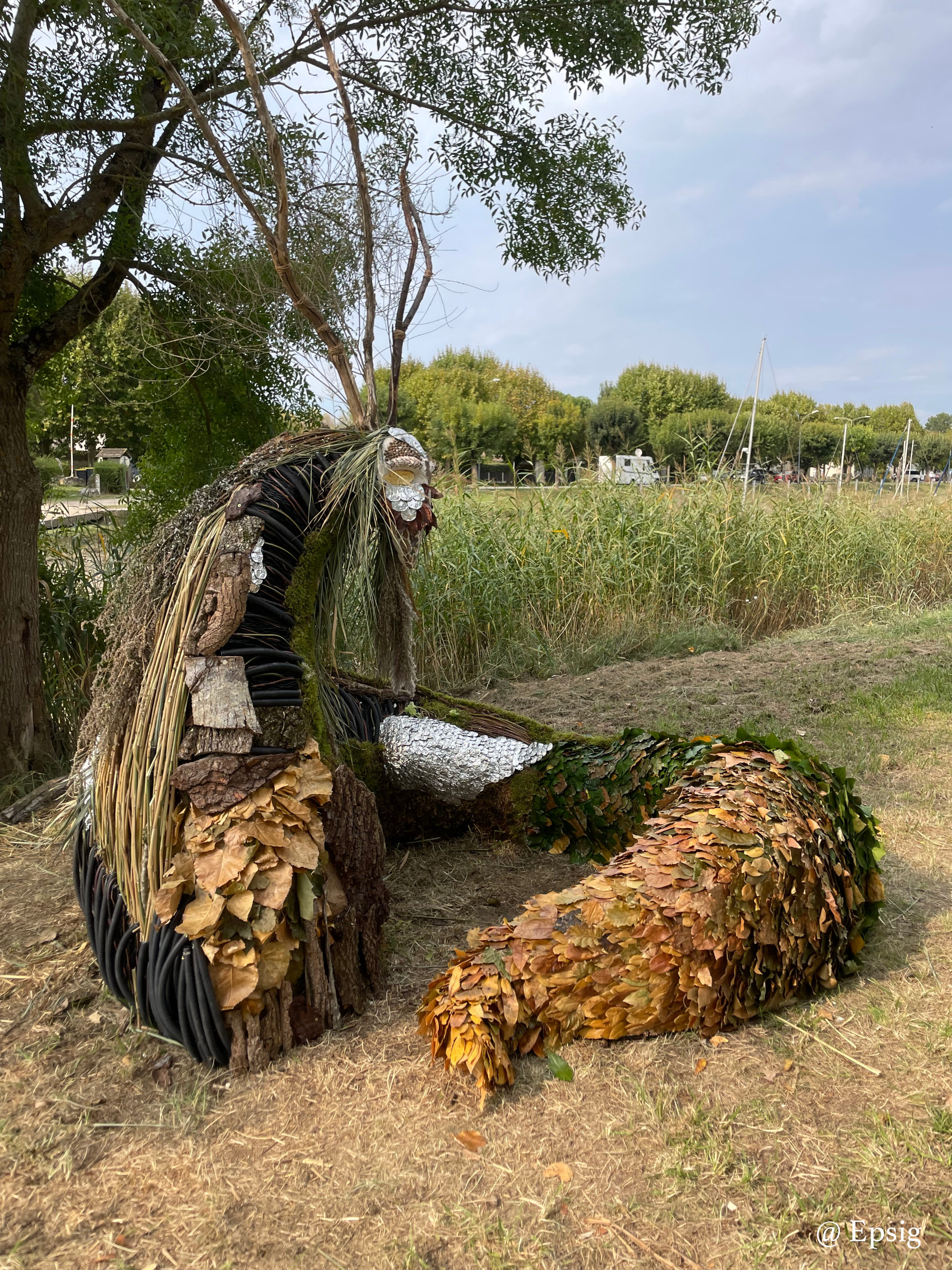 Image complémentaire