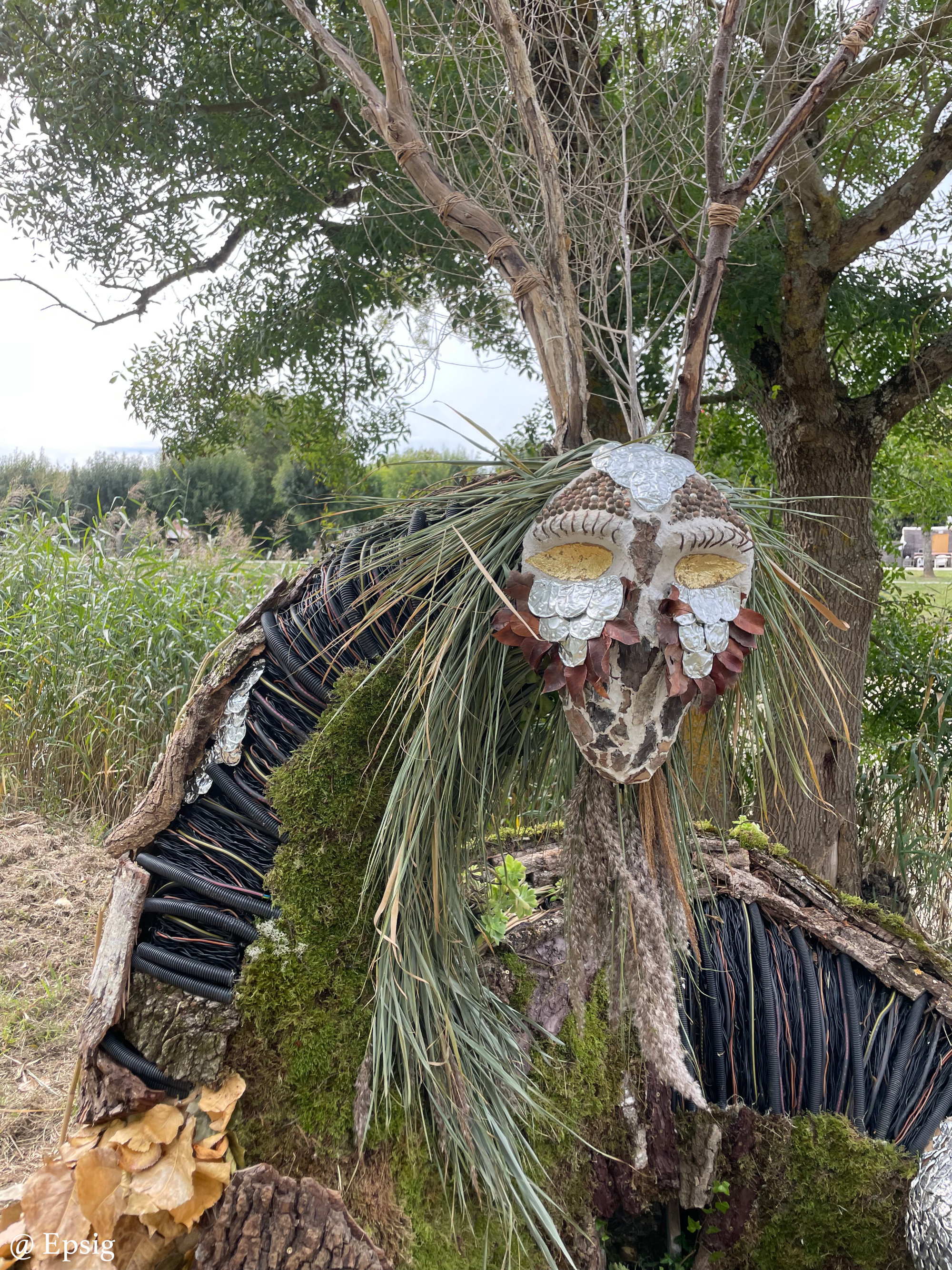 Image complémentaire