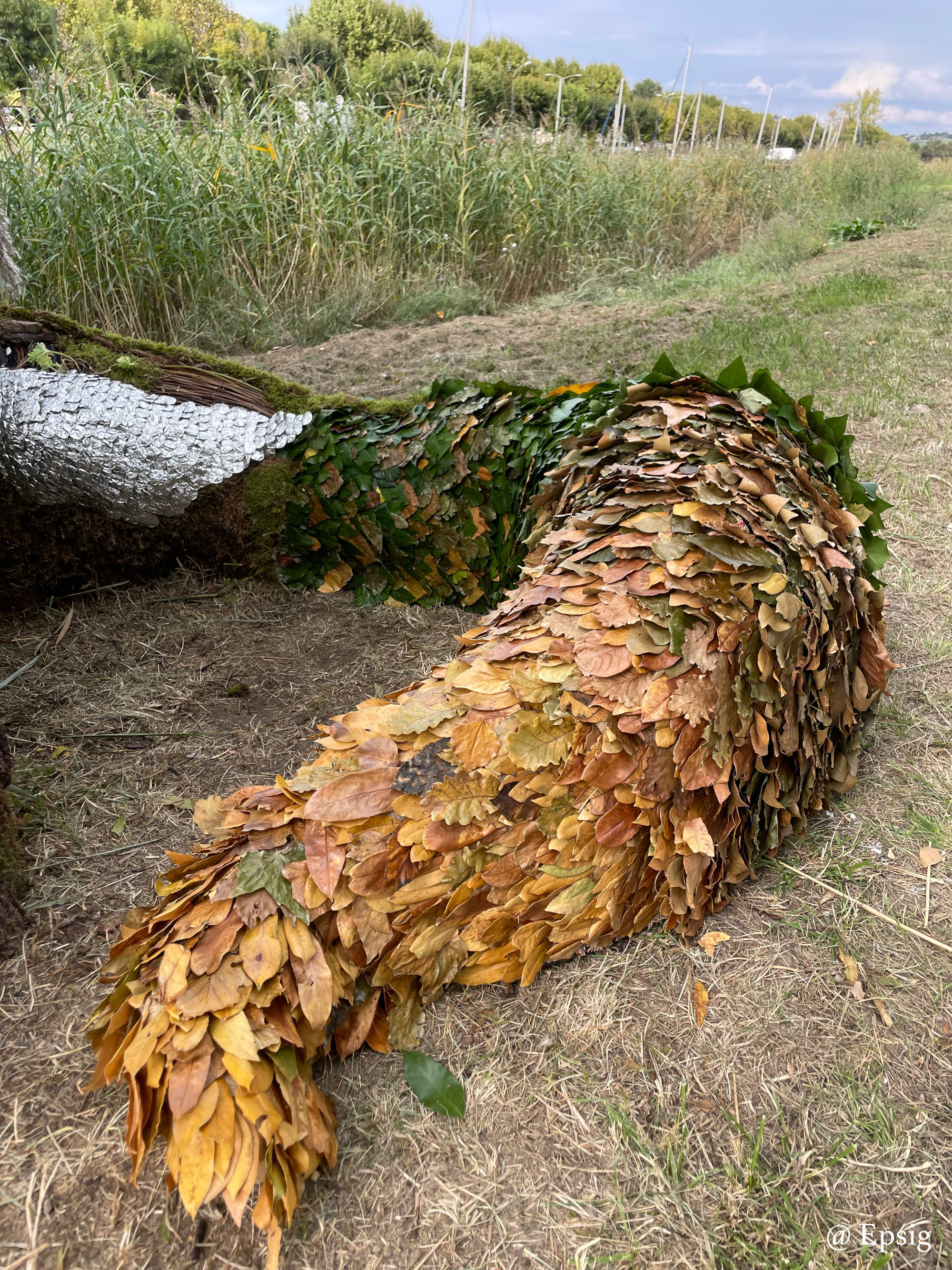 Image complémentaire